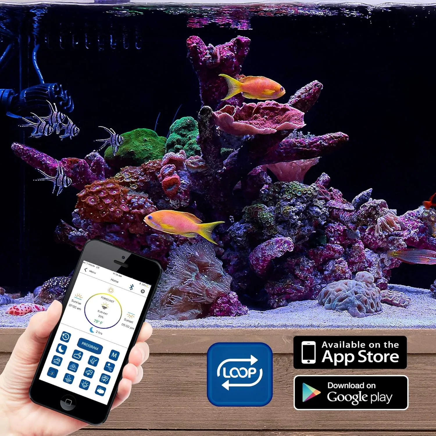 Current USA Dual 72" Inch Orbit Marine PRO IC Loop LED Saltwater Reef Marine Aquarium Light with Bluetooth App Control | Wireless Lighting & eFlux Wave Pump Control for Fish Tank (4338)