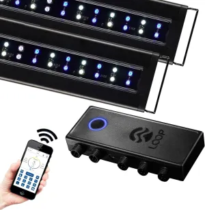 Current USA Dual 72" Inch Orbit Marine PRO IC Loop LED Saltwater Reef Marine Aquarium Light with Bluetooth App Control | Wireless Lighting & eFlux Wave Pump Control for Fish Tank (4338)