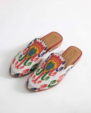 Morocco (man) - Mule : Spice